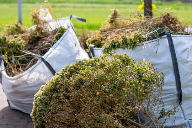Best Construction Debris Removal  in Bowman, ND
